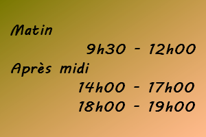horaire mardi 9h30-12h  14h-17h